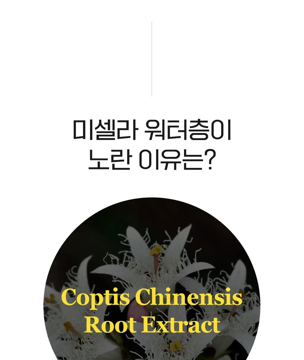 [더블클렌징] 아리얼 스트레스 릴리빙 미셀라 립앤아이 리무버 300ml 상세페이지 23